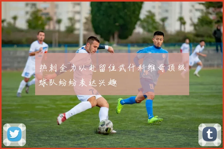 热刺全力以赴留住武什科维奇顶级球队纷纷表达兴趣