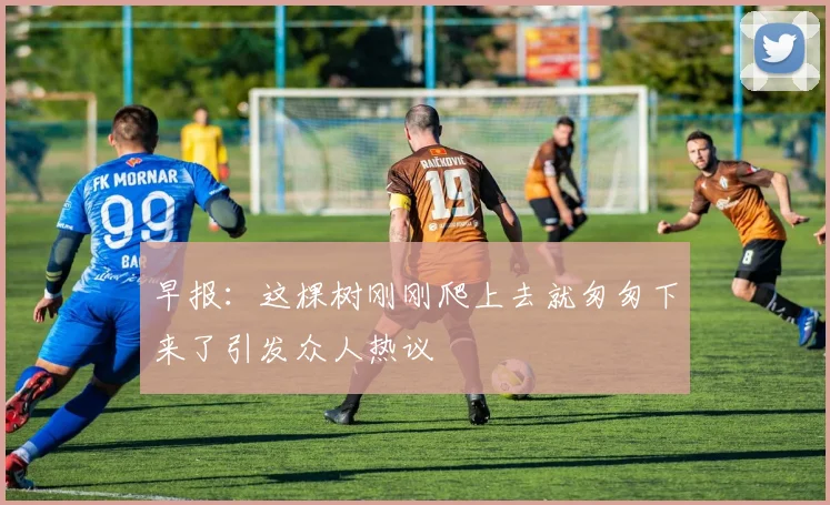 早报：这棵树刚刚爬上去就匆匆下来了引发众人热议
